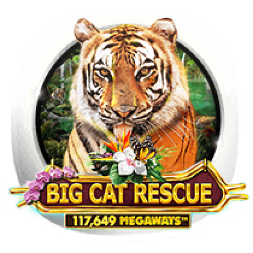 online casino app 3k.top